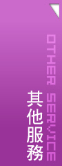 其它服務